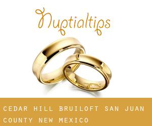 Cedar Hill bruiloft (San Juan County, New Mexico)