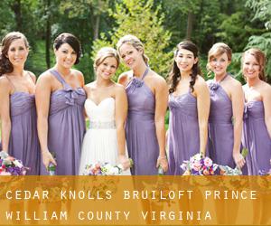 Cedar Knolls bruiloft (Prince William County, Virginia)