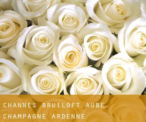 Channes bruiloft (Aube, Champagne-Ardenne)