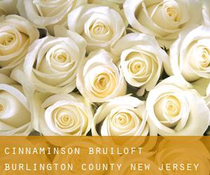 Cinnaminson bruiloft (Burlington County, New Jersey)