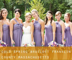 Cold Spring bruiloft (Franklin County, Massachusetts)