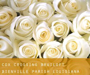 Cox Crossing bruiloft (Bienville Parish, Louisiana)