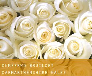 Cwmffrwd bruiloft (Carmarthenshire, Wales)