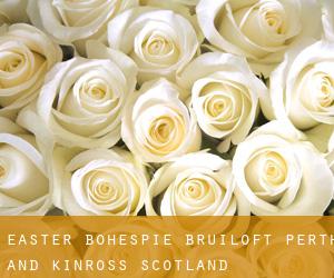 Easter Bohespie bruiloft (Perth and Kinross, Scotland)