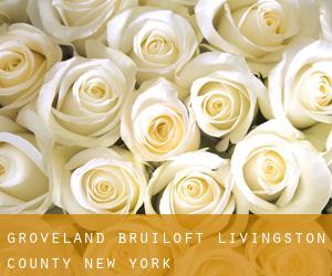 Groveland bruiloft (Livingston County, New York)