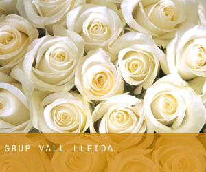 Grup Vall (Lleida)
