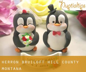 Herron bruiloft (Hill County, Montana)