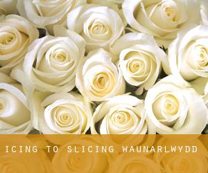 Icing to Slicing (Waunarlwydd)