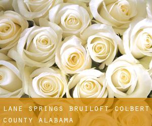 Lane Springs bruiloft (Colbert County, Alabama)