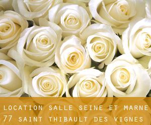 Location Salle Seine et Marne 77 (Saint-Thibault-des-Vignes)