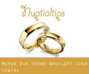 Mehun-sur-Yèvre bruiloft (Cher, Centre)