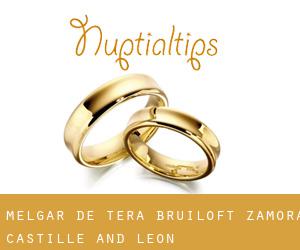 Melgar de Tera bruiloft (Zamora, Castille and León)
