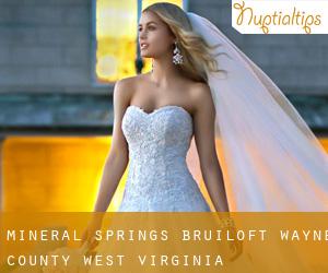 Mineral Springs bruiloft (Wayne County, West Virginia)