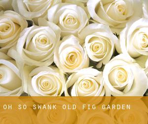 Oh So Swank (Old Fig Garden)