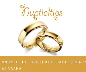 Snow Hill bruiloft (Dale County, Alabama)