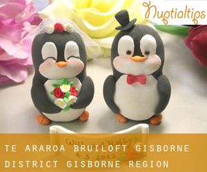 Te Araroa bruiloft (Gisborne District, Gisborne Region)